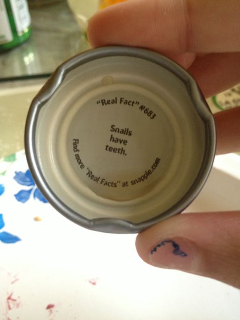 Snapple facts Snapple Facts, Obscure Facts, Trivia Time, Boy Facts, History Facts Interesting, Wow Facts, Random Facts, Real Facts, Animal Facts