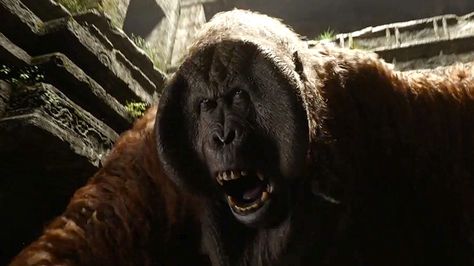 Jungle Book Live Action, Disney King, Captain Gantu, Jungle Book 2016, Kings Movie, Disney Live, Christopher Walken, The Jungle Book, Movies 2016