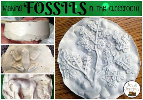 Making Fossils, Dinosaur Roar, Fourth Grade Science, Find Joy In The Journey, Science Camp, Joy In The Journey, 4th Grade Science, Kids Science, Year 8