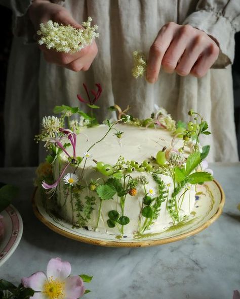 Ros on Instagram: "We have been playing a fierce game of pramballbabybath in the garden today and gobbling raspberries from the bushes. That’s all. (@twiggstudios and I raided some flowers for this cake a month or so ago) #hautecuisines #her_dark_materials #twiggstudios #makingacake #summerfruits #foodfluffer #mysondeflor #janeeyre #cottagegarden #feedfeedprops #cotswoldslife #thecotswolds #cotswold #cotswoldfood #cottagecore #cottagestyle" Macerated Strawberries, Garden Cakes, Dessert Photography, Victoria Sponge, British Baking, Clover Flower, Baking Blog, Wild Strawberries, Gorgeous Cakes