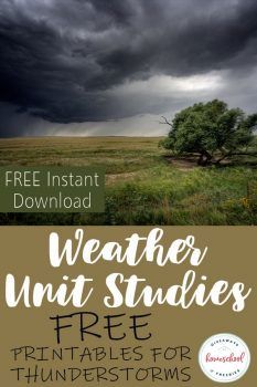 Weather Activities For Third Grade, Weather Unit Preschool, Homeschool Weather Unit, Weather And Climate Activities 3rd Grade, Tornado Unit Study, Weather Unit Study Elementary, Weather Unit 3rd Grade, American History Lessons High School, American History Photos