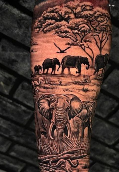 Safari Animal Tattoos Sleeve, Jungle Scene Tattoo, Shoulder Tattoo Animal, Safari Tattoo Sleeve Women, Africa Sleeve Tattoo, Safari Sleeve Tattoo, Elephant Tattoo Sleeve, Safari Tattoo Design, Best Lion Tattoos Men