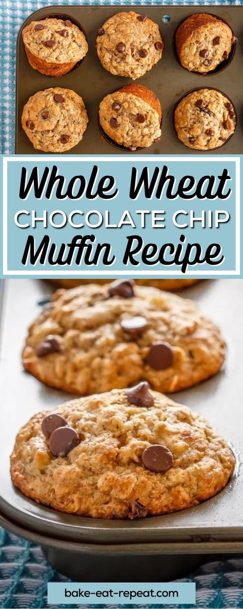 Whole Wheat Chocolate Chip Banana Muffins are filled with healthy ingredients like oats, whole wheat flour, and bananas, and make an easy breakfast that is filling and healthy. Yes, there are chocolate chips in them, but you could easily leave those out if you want them to be even healthier. Whole Wheat Banana Chocolate Chip Muffin, Whole Wheat Flour Breakfast Recipes, Whole Wheat Breakfast Muffins, Desserts Using Whole Wheat Flour, Banana Muffins Whole Wheat Flour, Whole Wheat Banana Bread Muffins, Recipes Using Wheat Flour, Whole Wheat Chocolate Chip Muffins, Whole Wheat Flour Recipes Healthy