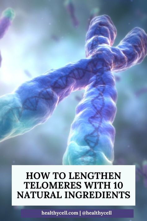 If you've done any research on the root of aging, you've learned about the connection between telomere length, longevity, a lower risk of disease and health issues. #Health #Healthy #HealthyLiving #HealthyLifestyle #supplements #vitamin Longevity Supplements, Body Science, Cellular Nutrition, Slow Aging, Collagen Benefits, Dna Repair, Eternal Youth, Anti Aging Supplements, Wellness Lifestyle