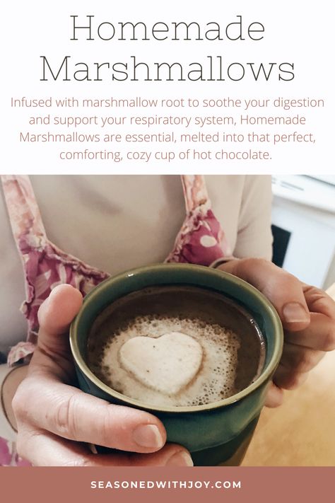 Infused with marshmallow root to soothe your digestion and support your respiratory system, Homemade Marshmallows are essential, melted into that perfect, comforting, cozy cup of hot chocolate. Marshmallow From Marshmallow Root, Marshmallow Tea, Homemade Essentials, Marshmallow Root Powder, Healthy Marshmallows, Pro Metabolic, Homemade Marshmallow Recipe, Homestead Recipes, Campfire Marshmallows