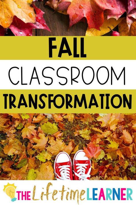 Fall Classroom Party 4th Grade, Fall In The Classroom, Fall Room Transformation Classroom, Pumpkin Patch Classroom Transformation, Pumpkin Classroom Transformation, Fall Classroom Transformation, Fall Room Transformation, Fun Facts About Fall, Fall Classroom Decorations Ideas