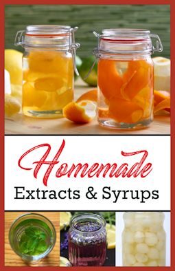 Homemade Extracts & Syrups Diy Flavored Extracts, Apple Extract Diy, How To Make Flavored Extracts, Pecan Extract Recipe, Diy Extracts Recipes, Homemade Extracts Recipes, Extract Recipe Homemade, Vanilla Extract Recipe Homemade, Homemade Flavorings