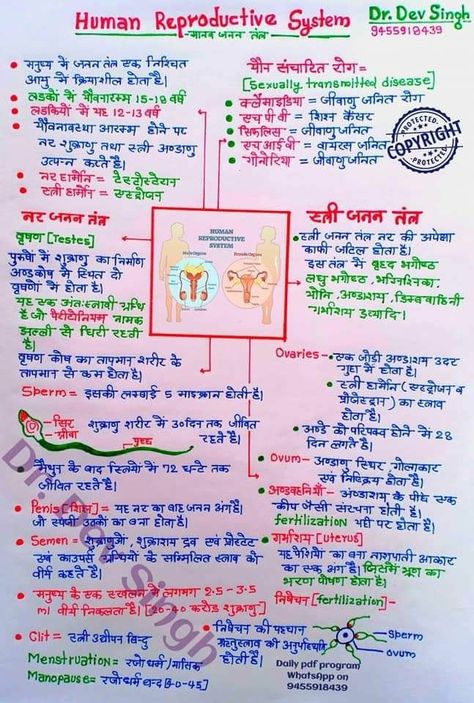 Neet Exam Notes Biology In Hindi, Chemistry Formulas In Hindi, Class 11 Biology Notes In Hindi, Biology Notes In Hindi, Science Notes In Hindi, Human Reproductive System, Human Body Science Projects, Human Body Vocabulary, Bihar Police