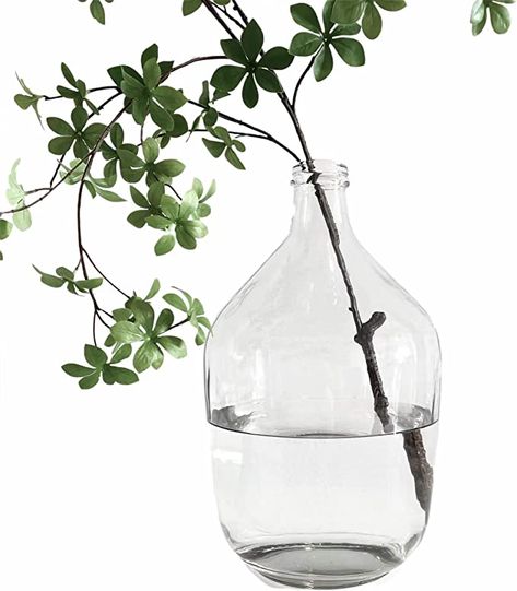 Amazon.com: BUICCE Large Clear Glass Vases Balloon Jug Floor Flowers Round Vase for Farmhouse Tabletop Centerpiece Decorative. : Home & Kitchen Large Glass Vases, Glass Jug Vase, Farmhouse Tabletop, Farmhouse Vase, Large Glass Vase, Table Farmhouse, Clear Vases, Round Vase, Jug Vase