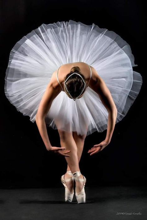 Magical Dance And Art Ballerina Poses Reference Photo, Ballet Dancers Photography, Pointe Poses, Ballerina Pictures, Ballet Photography Poses, Ballerina Picture, Ballerina Photography, Ballerina Poses, Ballet Painting