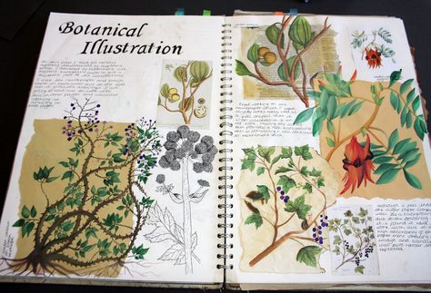 Sketchbook refrence work, a page looking into botanical illustration from over the years. I have used a cross section of media including watercolour and fineliner. Using different paper to work on has also been an essential part of these pages as I have experimented on working on sugar paper, newspaper and others.   Dimensions: Double page spread in A3 sketchbook. A3 Sketchbook, Doodles Sketchbooks, Skitse Bog, Kunstjournal Inspiration, Vika Papper, Botanisk Illustration, Botanical Sketchbook, Sketchbook Layout, Textiles Sketchbook