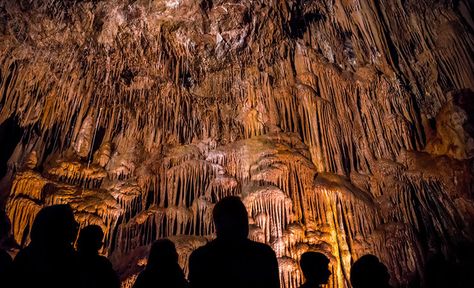 What to Do in Arizona if You Have 3, 5 or 7 Days | Visit Arizona Kartchner Caverns, Indoor Things To Do, Visit Arizona, Arizona Road Trip, Visit Usa, Dude Ranch, Northern Arizona, Desert Painting, Sonoran Desert