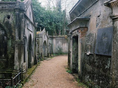 There are many other prominent figures, Victorian and otherwise, buried at Highgate Cemetery. Photo Credit Weird Places, Old Cemetery, The Old Curiosity Shop, Elijah Mikaelson, Highgate Cemetery, Pet Cemetery, Haunted History, Old Cemeteries, Character Aesthetics