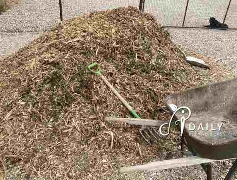 Chip Drop Mulch, Wood Chips Garden, Ditch Ideas, Wood Chip Mulch, Garden Mulch, Horse Manure, Mulch Landscaping, Front Landscaping, Wood Chips