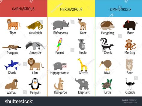 Carnivorous Animals For Kids, Herbivore Carnivore Omnivore Activities, Carnivores Animal, Omnivores Animals, Herbivores Animals, Carnivore Animals, Farm Theme Preschool Activities, Pangolin Art, Carnivores Herbivores Omnivores