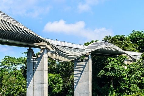 Calatrava Bridge, Henderson Waves, Root Bridge Meghalaya, Rama Viii Bridge, Downtown Core, Rope Bridge, Cable Stayed Bridge, Global City, Suspension Bridge