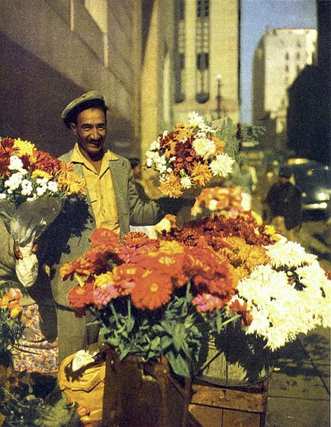 Flower seller 1951 Flower Seller, Garden Growing, Grow Vegetables, Benefits, For Sale, Flowers