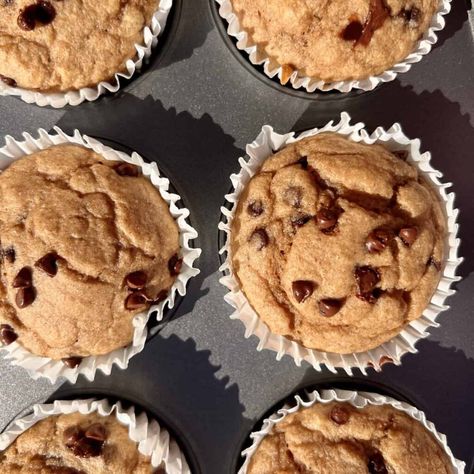 Kodiak Cakes Chocolate Chip Protein Muffins (No Banana) - Ayat Sleymann, MS, RDN Pancake Muffins Kodiak Cakes, Ww Protein Muffins, Kodiak Cake Muffins Chocolate Chip, Muffins Made With Kodiak Cakes, Kodiak Cakes Muffins No Banana, Kodiak Cakes Recipe Muffins, High Protein Kodiak Muffins, Protein Muffins Chocolate Chip, High Protein Chocolate Chip Muffins