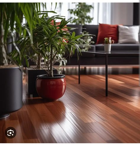 Cherry Wood Flooring Ideas, Living Room Cherry Wood Floor, Brazilian Cherry Floors Living Room, Cherrywood Hardwood Floors, Cherry Hardwood Floors Living Room, Cherry Wood Floors Color Schemes, Red Wood Floors, Cherry Wood Floors Living Room, Tigerwood Flooring