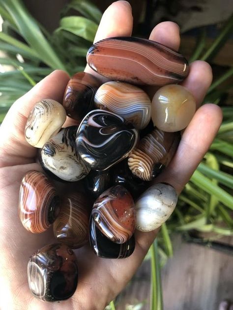 Spiritual Crystals, Pretty Rocks, Cool Rocks, Mineral Stone, Banded Agate, Minerals And Gemstones, Rocks And Gems, Lady Dress, Gem Stones