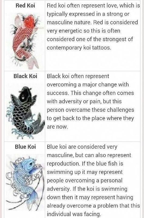 Karp Koi, Japanese Tattoo Women, Koi Tattoo Design, Blue Koi, Koi Tattoo, Koi Fish Tattoo, Japanese Tattoos, Fish Tattoo, Japanese Koi