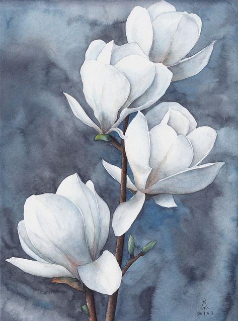 Magnolia on Behance Paintings Of Magnolias, Magnolia Art Acrylic Paintings, Magnolia Flower Painting Acrylics, Magnolia Tree Art, Floral Illustrations Botanical, Magnolia Artwork, Magnolia Flower Drawing, Magnolia Background, Drawing Botanicals