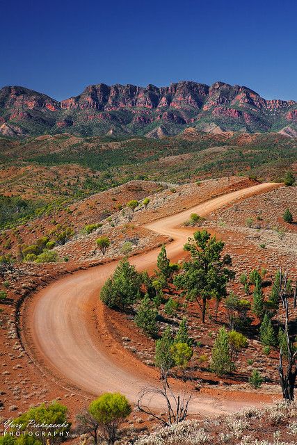 Australia Outback, Australia Landscape, Outback Australia, Mountain Ranges, Dirt Road, Cairns, Great Barrier Reef, Canberra, South Australia