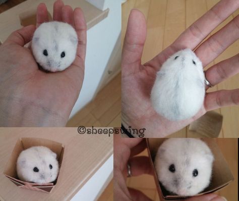 Needle felted hamster by sheeps-wing on DeviantArt Felted Hamster, Felted Creatures, Needle Felting Diy, Needle Felting Tutorials, Pink Dragon, Needle Felting Projects, Felting Tutorials, Felt Brooch, Animal Control