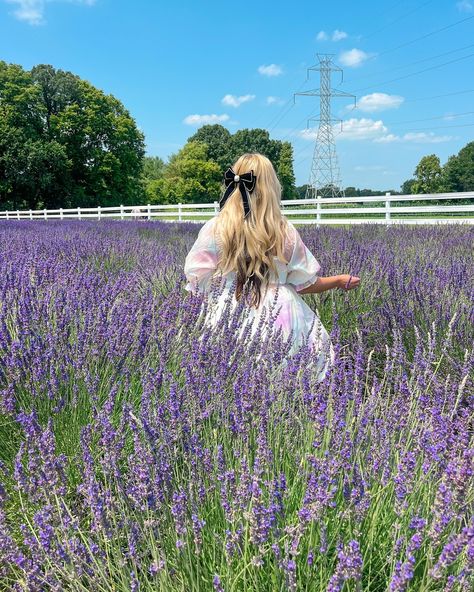 Lavender Farm Photoshoot, Farm Women, South Bend Indiana, Lavender Haze, Beautiful Photoshoot Ideas, Lavender Field, Lavender Farm, Senior Photoshoot, Portrait Photography Poses