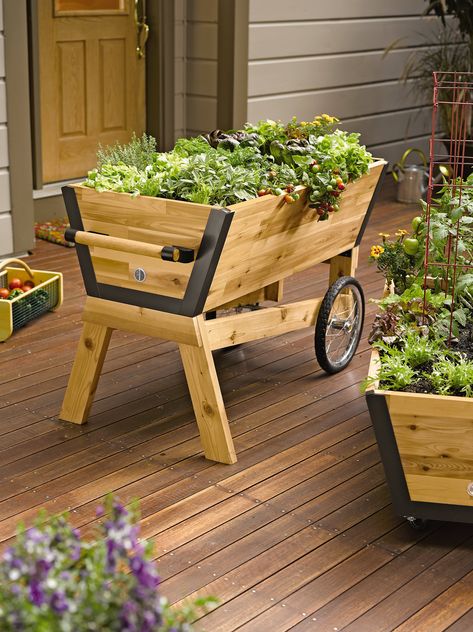 Rolling Elevated Planter Box: U-Garden Raised Planter | Long-lasting cedar with lifetime aluminum corners. Large wheels and sturdy handle make it mobile. 2' x 4' planting box. 31" high for no-bend planting and tending Made in Vermont by Gardener'sSupply - Gardeners.com Gerobak Dorong, Taman Diy, Elevated Planter Box, Raised Planter Boxes, Wheelbarrows, Pallet Planter, Diy Raised Garden, Wood Planter Box, Raised Garden Beds Diy