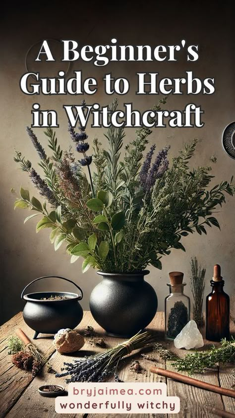 New to witchcraft? This beginner's guide to herbs in witchcraft explores their magical properties and how to incorporate them into your practice. Learn how everyday herbs like rosemary, basil, and lavender can be used in spells and rituals for protection, love, healing, and more. Whether you’re just starting or looking to enhance your practice, this guide offers practical tips for working with herbs and creating your own herbal magic. Most Common Herbs Used In Witchcraft, Herbs For Banishing Spells, Herbs For Beginner Witches, Herbal Magic Witchcraft, Herbs In Witchcraft, Herbal Spells, Witchcraft Resources, Herbs For Spells, Herbs For Witchcraft