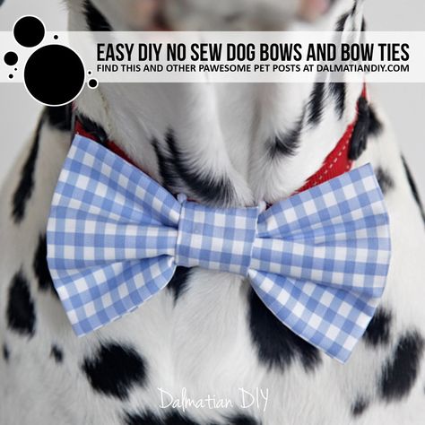 No Sew Bow Tie, Diy Dog Bow Tie No Sew, Cat Bowtie Diy, No Sew Dog Bow Tie, Bows For Dogs Diy, Dog Bow Tie Diy Free Pattern Printable, Diy Dog Tie, Diy Dog Bows, Diy Dog Bandana No Sew