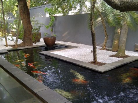 Modern Pond, Koi Pond Backyard, Indoor Pond, Koi Pond Design, Kolam Koi, Air Mancur, Garden Pond Design, Outdoor Ponds, Small Water Features