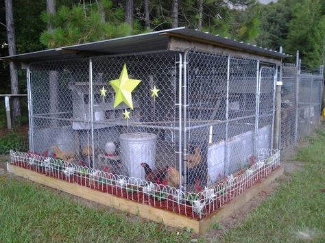 Chicken coop Maded out of a dog kennel...by T-N- T..our girls love it...my husband and i put chicken wire on the in side ..this work out great...... Dog Fence Chicken Coop, Dog Kennel Coop, Dog Kennel Chicken Coop Ideas, Chicken Run With Dog Kennel, Chain Link Chicken Run, Chain Link Chicken Coop, Chicken Coop Dog Kennel, Chicken Coop From Dog Kennel, Chicken Coop Out Of Dog Kennel