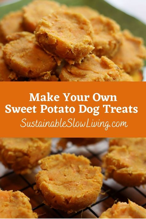 Sweet Potato Treats For The Dog In Your Life || Healthy, Grain-Free, And Tasty - Sustainable Slow Living Sweet Potato Dog Chews, Dog Cookie Recipes, Sweet Potato Dog, Soft Dog Treats, Sweet Potato Dog Treats, Potato Dog, Pet Treats Recipes, Dog Treats Homemade Easy, Easy Dog Treat Recipes