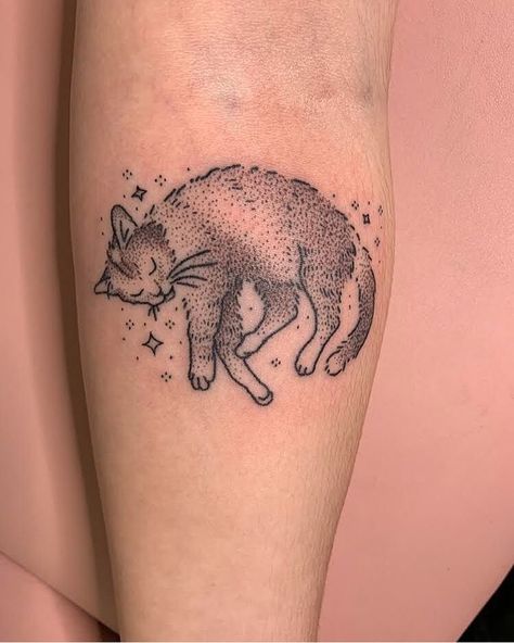 Grey Cat Tattoo, Ollie Tattoo, Fluffy Cat Tattoo, Cartoon Cat Tattoo, Luna Tattoo, Cat Tatto, Kitty Tattoo, Cat Tattoos, Hand Poke