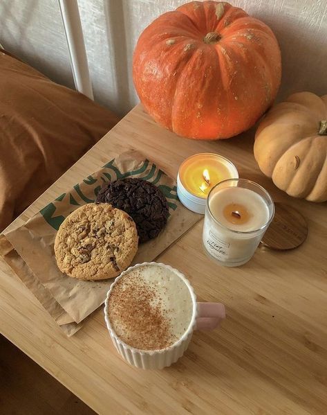 Fall Bucket List, Pumpkin Spice Season, Fall Inspo, Fall Feels, Best Seasons, Autumn Cozy, Autumn Aesthetic, Pumpkin Spice Latte, Cozy Fall