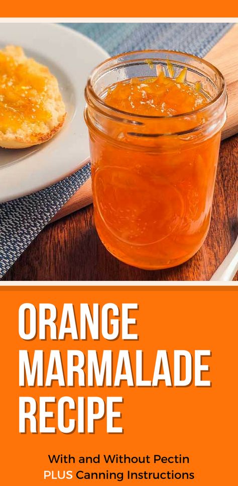 Orange Marmalade Recipe - with and without pectin. How to do a pectin test, canning instructions for marmalade. Marmalade Recipe Easy, Orange Marmalade Recipe, Marmalade Jam, Lemon Marmalade, Orange Jam, Marmalade Recipe, Citrus Recipes, Jam Recipes Homemade, Orange Marmalade