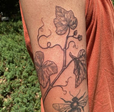 Green Ivy Tattoo, Ivy Sleeve Tattoo, Ivy Tattoo Vines For Women, Grapevine Tattoo, Grape Vine Tattoo, Grape Tattoo, Muscadine Vine, Ink Poisoning, Gardening Tattoo