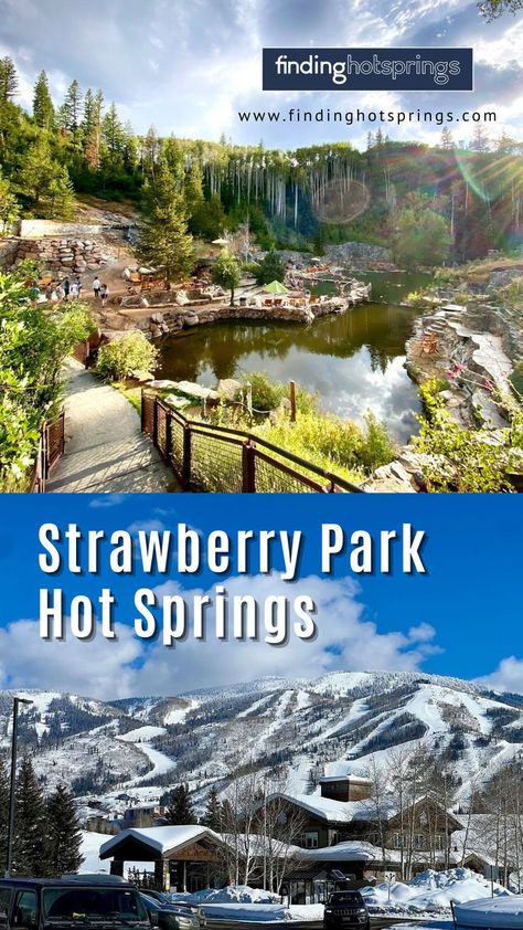 Strawberry Park Hot Springs - The Ultimate Guide to Strawberry Hot Springs Strawberry Hot Springs Colorado, Steamboat Springs Colorado, Starry Nights, Clothing Optional, Steamboat Springs, Hot Spring, Steam Boats, After Dark, Hot Springs