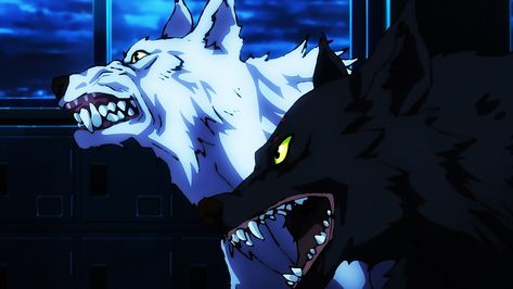 Jujutsu Kaisen on Twitter: "… " Wolf’s Rain, Demon Dog, Anime Reviews, Dog Tattoos, Anime Tattoos, Drawing Inspiration, Jujutsu Kaisen, Jujutsu, Anime Wallpaper