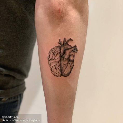 Small Bff Tattoos, Anatomical Tattoos, Heart Vs Brain, Brain Tattoo, Tiny Heart Tattoos, Heart And Brain, Single Needle Tattoo, Bff Tattoos, Cute Tiny Tattoos