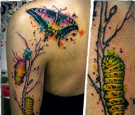 14 Breakup Tattoo Ideas to Mark A New Beginning – SheKnows Caterpillar Into Butterfly Tattoo, Breakup Tattoos, Breakup Tattoo, Metamorphosis Tattoo, Caterpillar Tattoo, A Butterfly Tattoo, Watercolor Butterfly Tattoo, Butterflies Tattoo, Science Exhibition