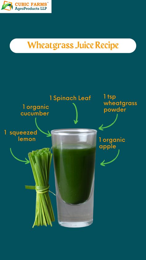 Microgreen Recipes, Wheatgrass Juice, Ginger Shots, Gluten Free Living, Juice Recipe, Health Nut, Spinach Leaves, Wheat Grass, Healing Food