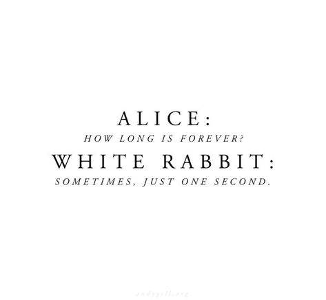 Ryan Aesthetic, Rabbit Quotes, Rabbit Wonderland, Children Book Quotes, Inspirational Quotes Background, Alice And Wonderland Quotes, Forever Quotes, Disney Quotes, Manifestation Quotes