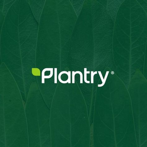 Discover Design Ideas & Graphic Design Inspiration | 99designs Wordmark Design, Plant Based Meal, P Letter, Ideas Graphic Design, Plant Logos, Beautiful Logos Design, Leaf Logo, Used Tools, Global Design