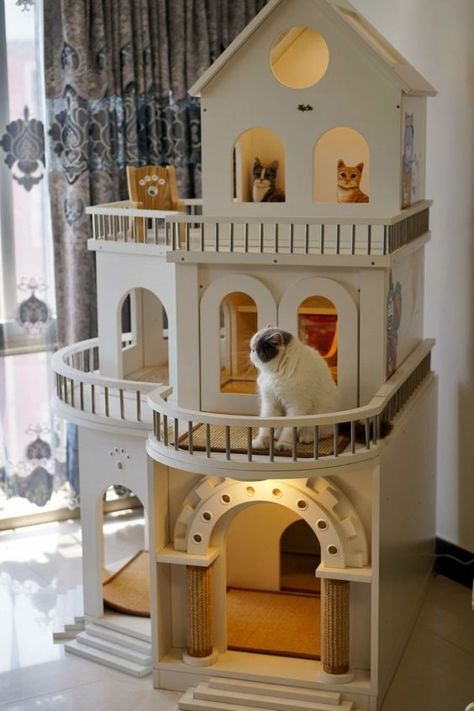 Cat Space, Fancy Cat, Cat Castle, Cat Climbing Frame, Cat Houses, Cat House Diy, Cat Towers, Cat Playground, Cat Ideas