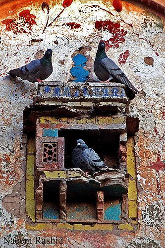 Pigeon Hole, City Life Photography, Egypt Concept Art, Bird House Feeder, Everyday Art, Indian Architecture, Art Deco Wallpaper, Artwork Images, Art Painting Acrylic