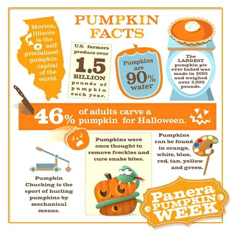 Pumpkin Facts Ffa Sayings, Pumpkin Facts, Preschool Pumpkin, Fall Facts, Bread Gift, Pumpkin Learning, Pumpkin Unit, Fun Facts For Kids, Staff Party