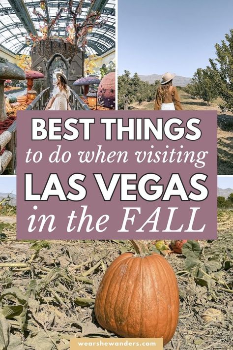 Cool Things To Do In Las Vegas, Las Vegas In September, Vegas In November, Vegas In October, Las Vegas October, Vegas Activities, October Events, Vegas 2023, Vegas Travel